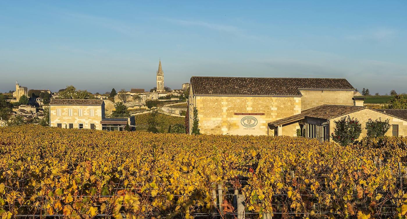 Château Pavie Macquin