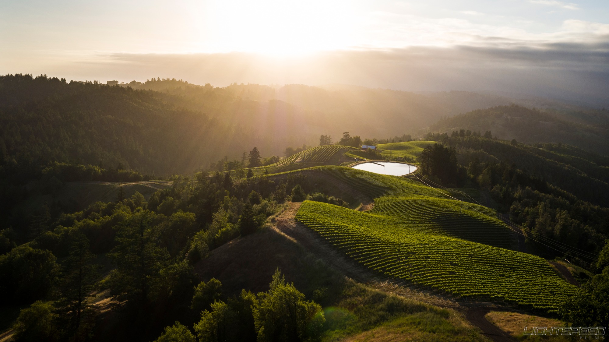 Fort Ross Vineyard & Winery