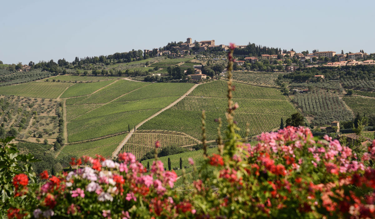 Azienda Agricola Fontodi