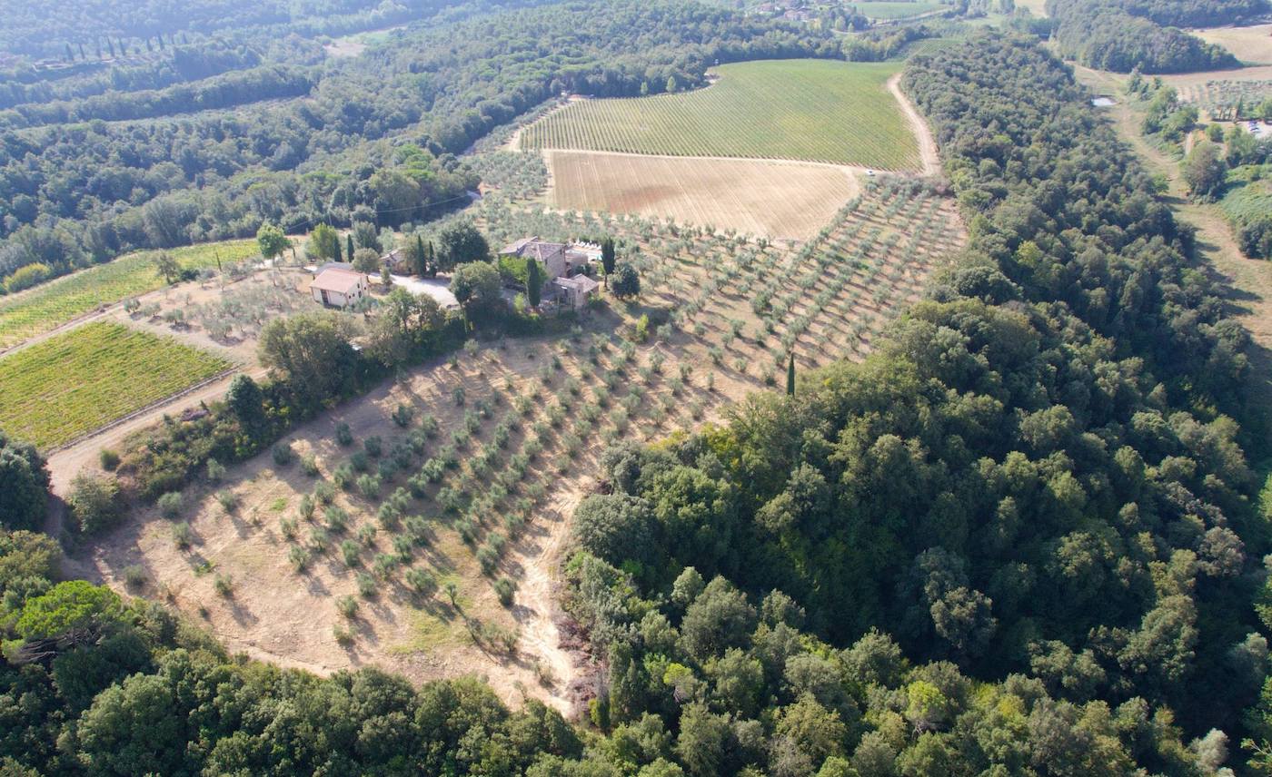 Poggio Bonelli