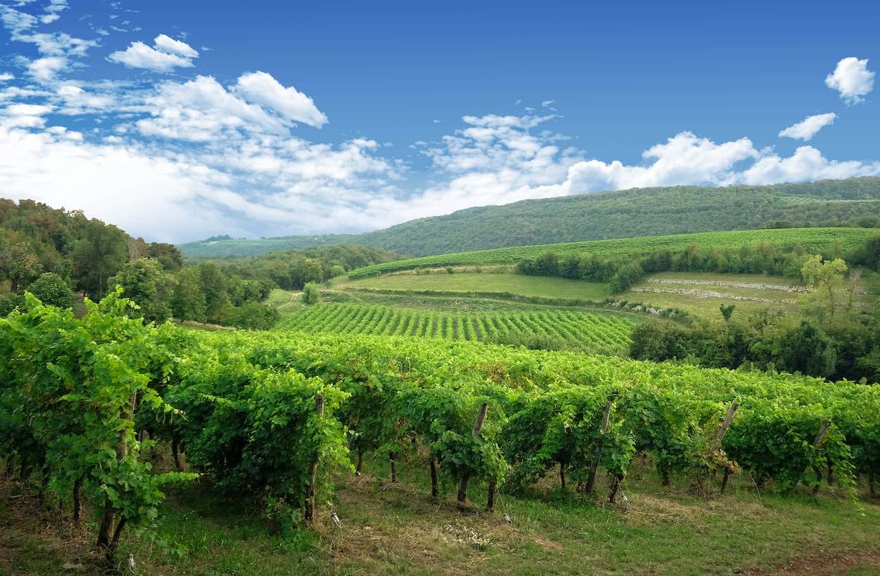 Azienda Agricola Brigaldara