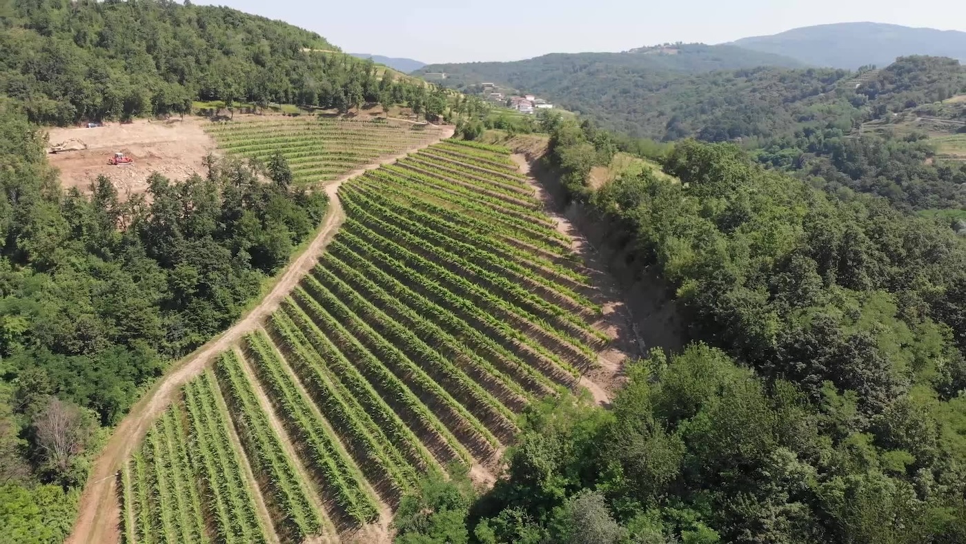 Tenuta Stella Tenuta Stella