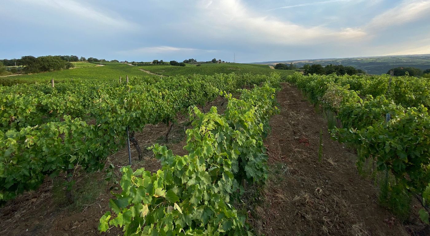 Podere Barbi