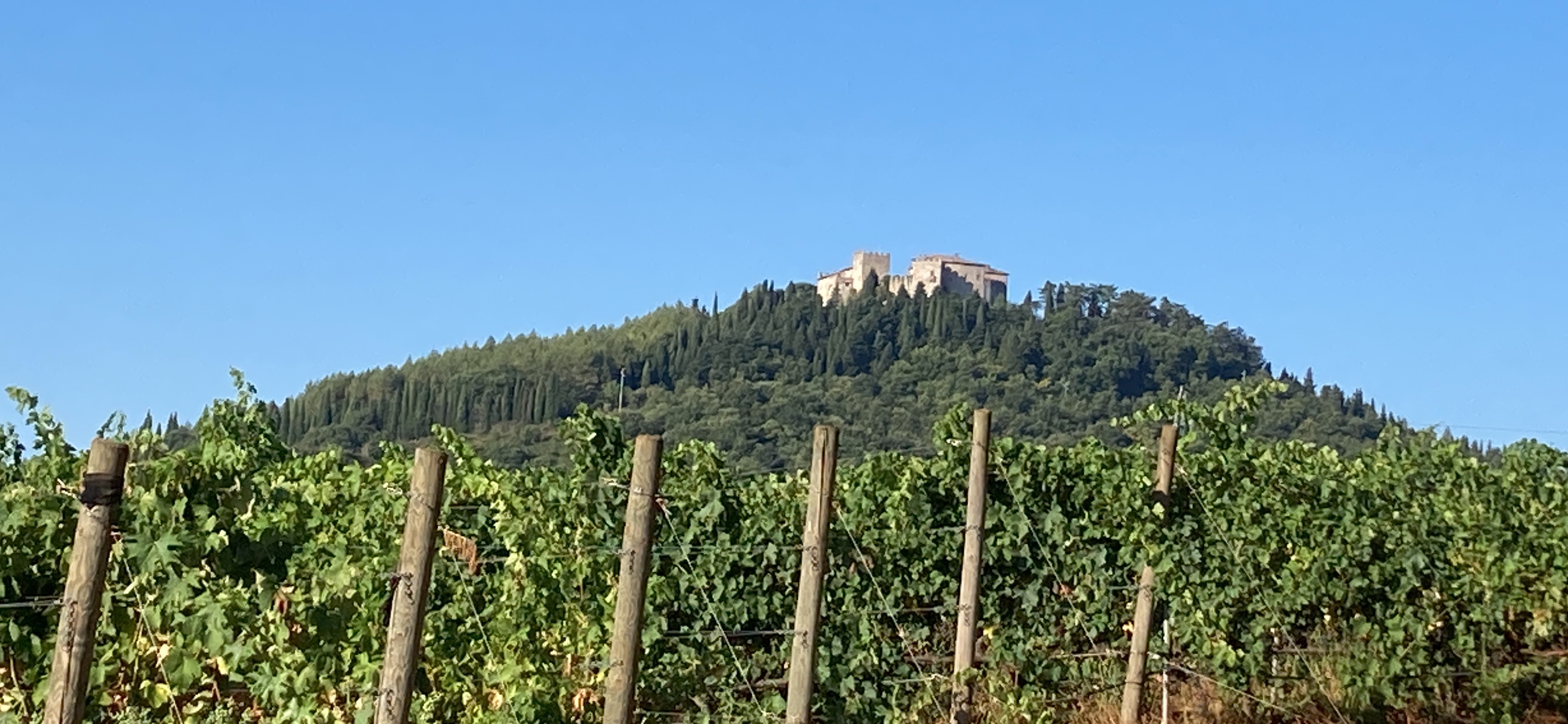 Castello di Montegiove