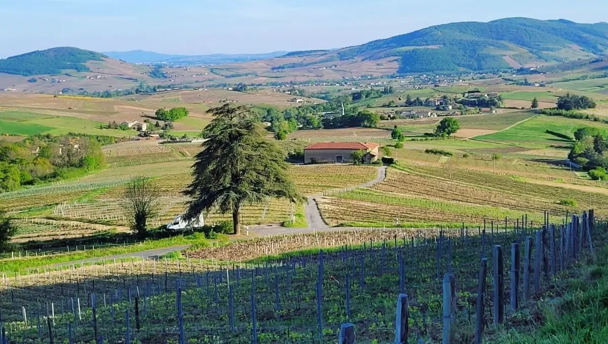 Domaine de Colette 