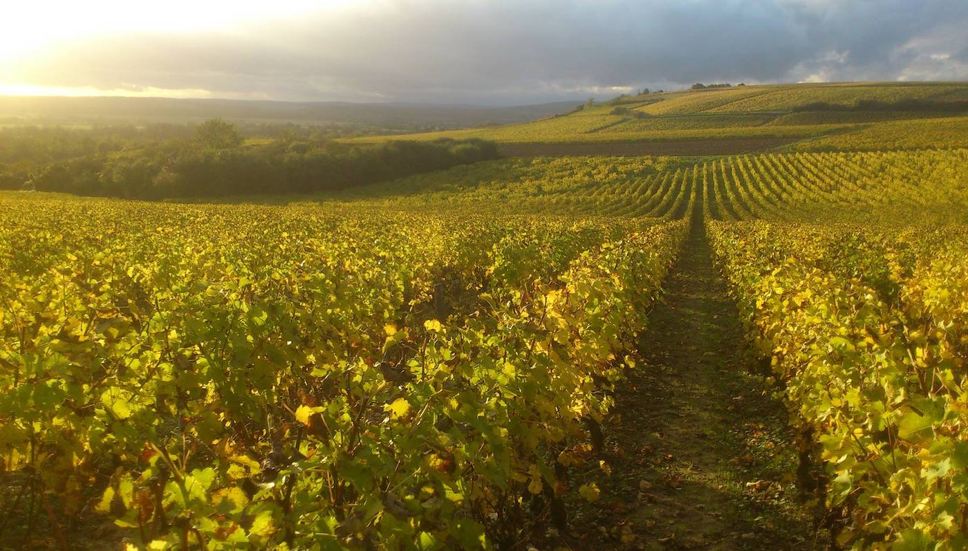 Domaine Tinel-Blondelet