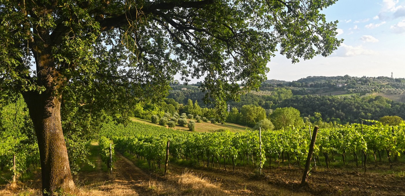 La Lastra