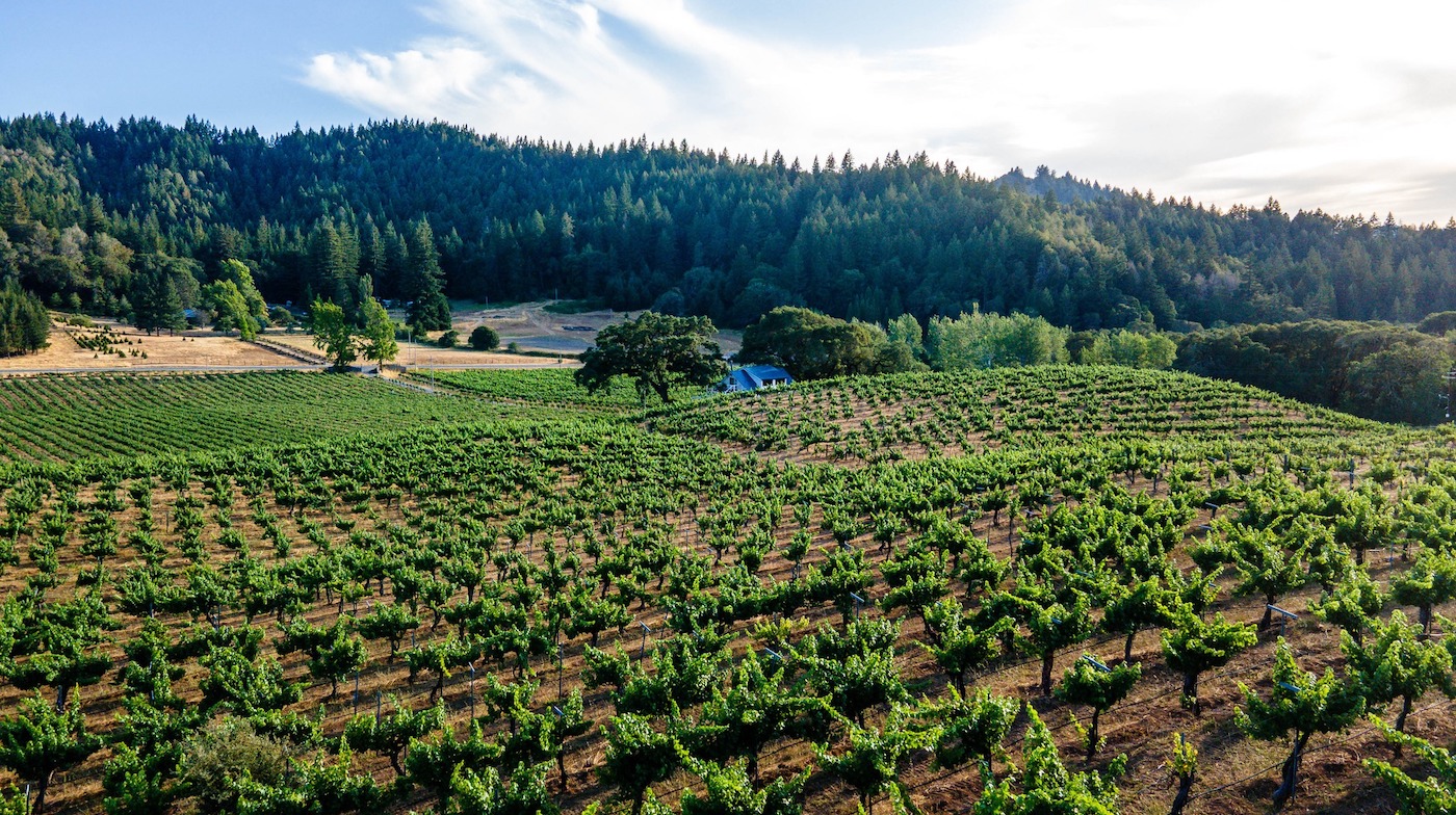 Yorkville Cellars