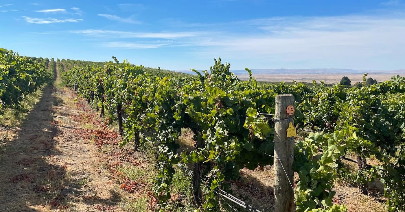 Barnard Griffin Winery