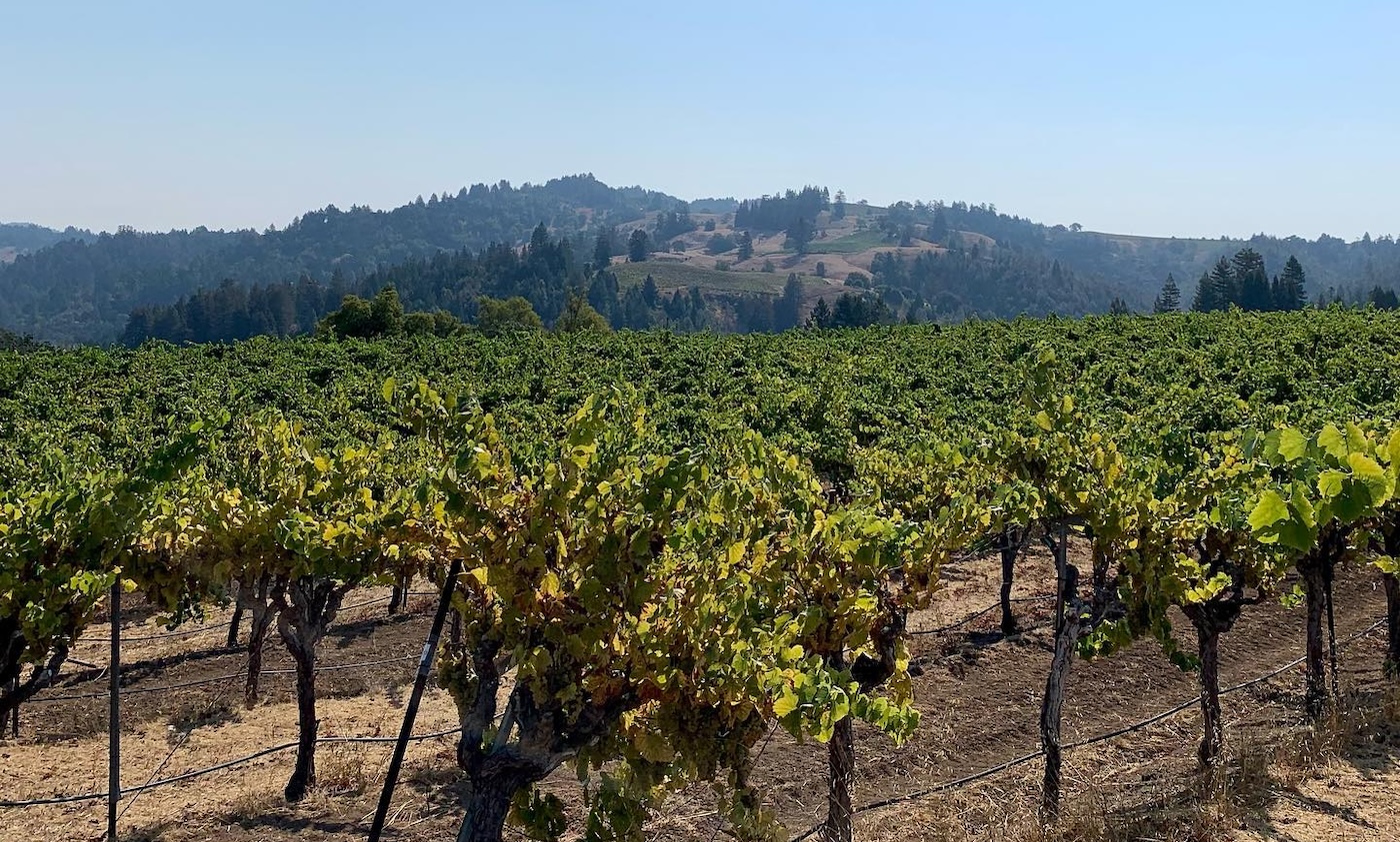 Ramey Wine Cellars