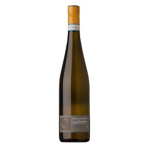 Lugana DOC 'Cemento' by Azienda Vitivinicola Marangona