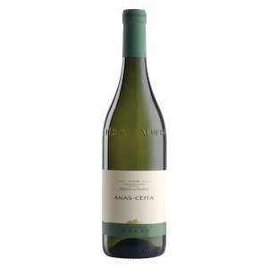 Langhe DOC Nascetta  Novello  by Elvio Cogno