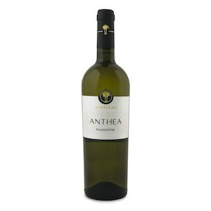 Salento IGP Falanghina Beneventana  'Anthea' by Cantine Due Palme
