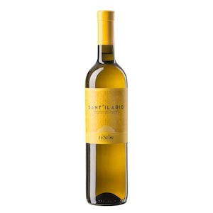 Bianchello del Metauro DOC 'Vigna Sant'Ilario' by Azienda Agraria Fiorini