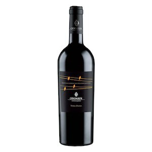  by Cantine Odoardi