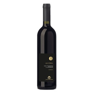 Colli Piacentini DOC Barbera  'Aludra' by Cantina di Vicobarone