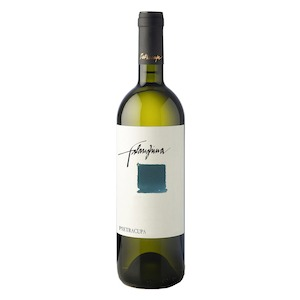 Benevento IGP Falanghina Beneventana  by Pietracupa
