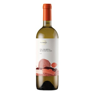 Benevento IGP Falanghina Beneventana  by Villa Raiano