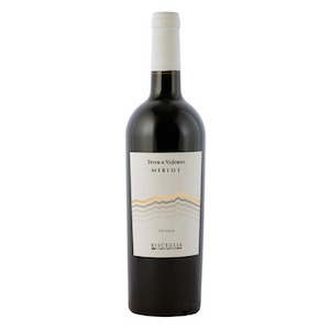 Basilicata IGP Merlot  'Terra di Vulcano' by Bisceglia