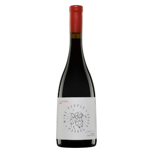 Kartli Shavkapito  'Wine People' by Teliani Valley
