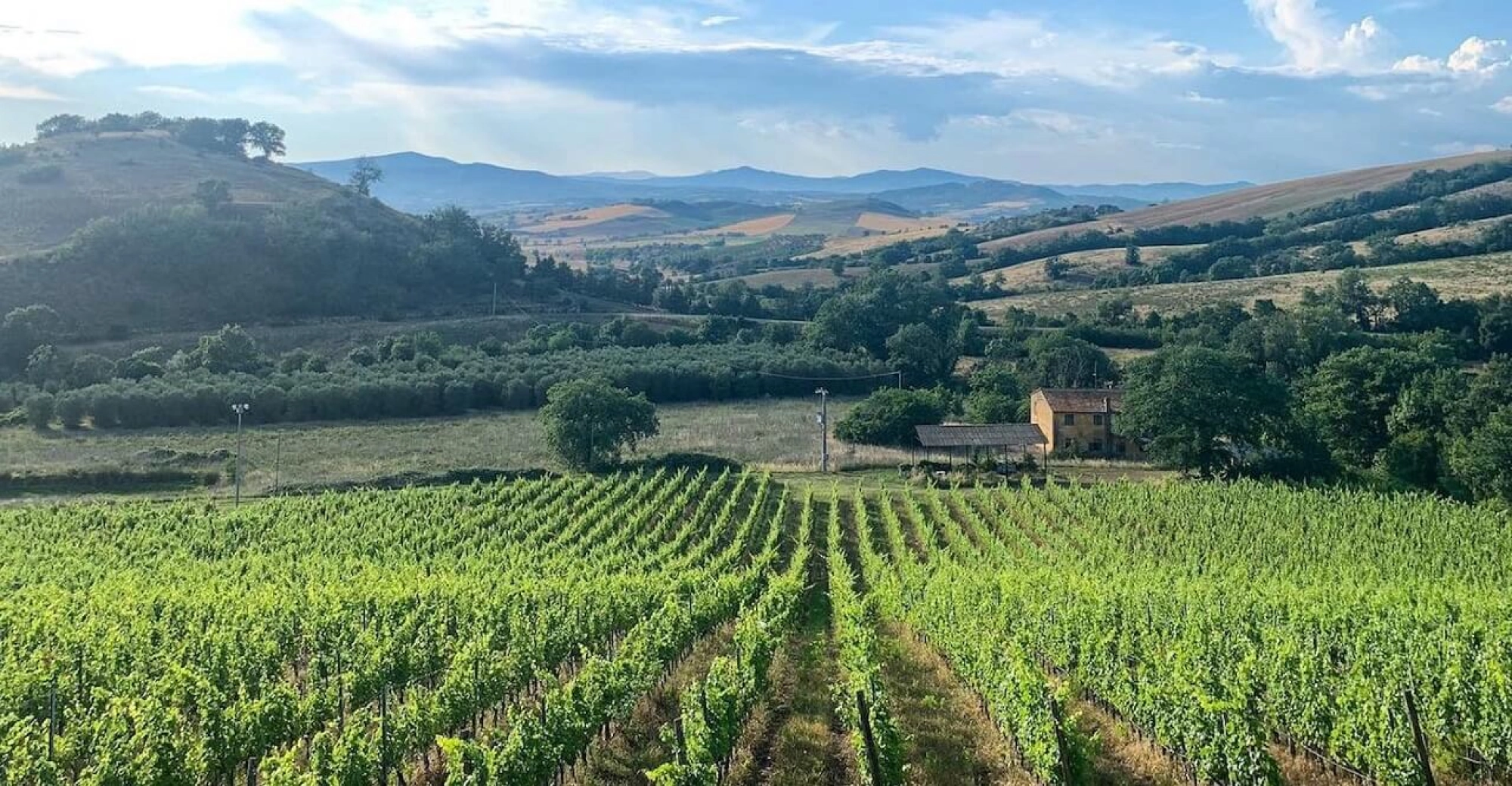 Interview: Giovanni Frascolla on taking over at Poggio Argentiera and his ambitions for the future