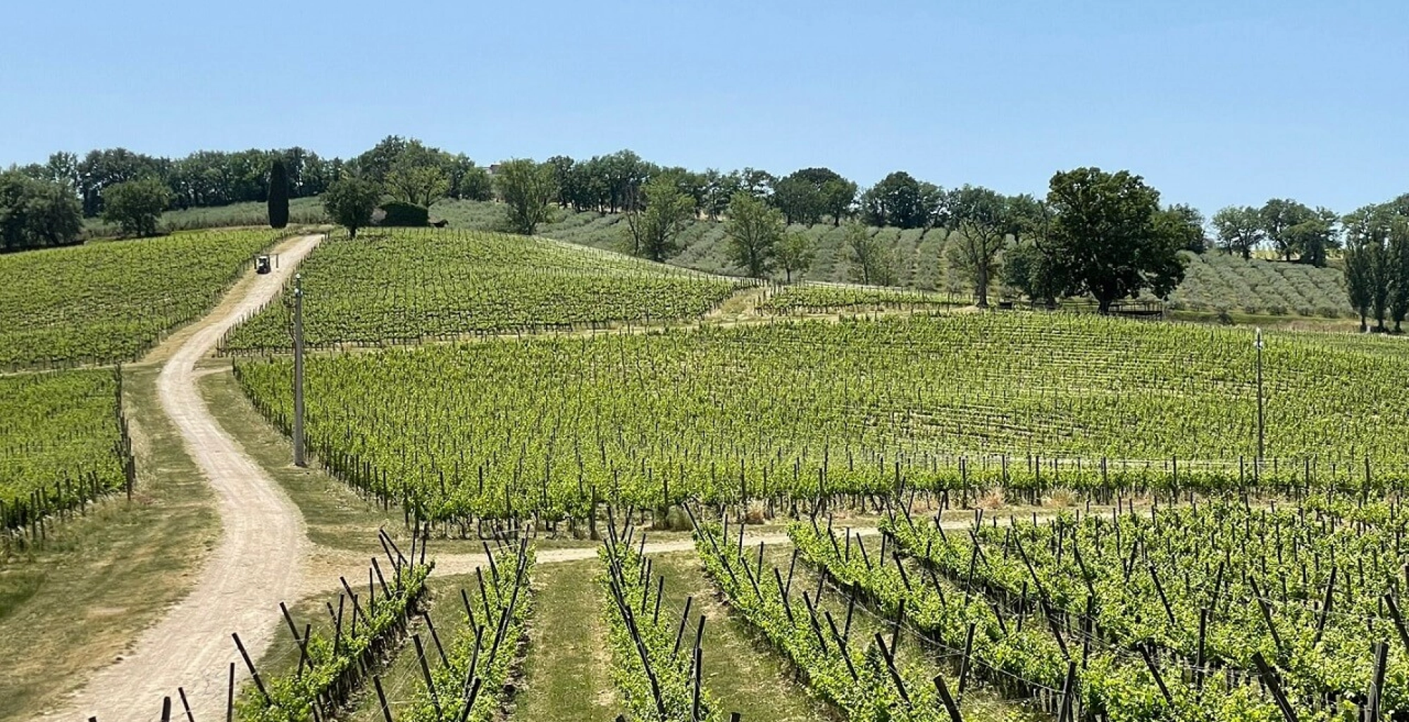 Anteprima Sagrantino: Thoughts and reflections on Montefalco’s flagship red wine and the 2018 vintage