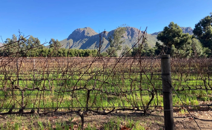 Read more about Franschoek