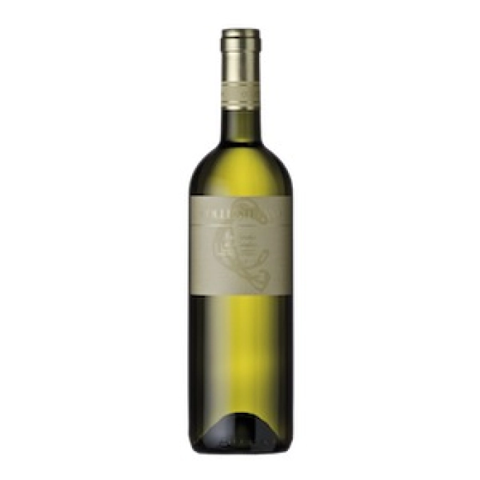 Verdicchio di Matelica DOC