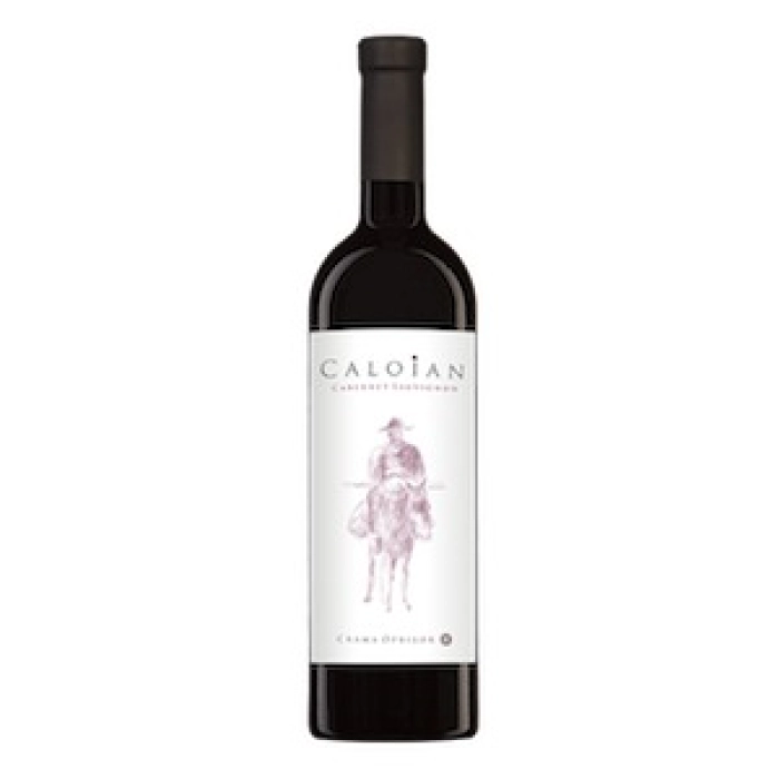 Dealurile Olteniei GI Cabernet Sauvignon  