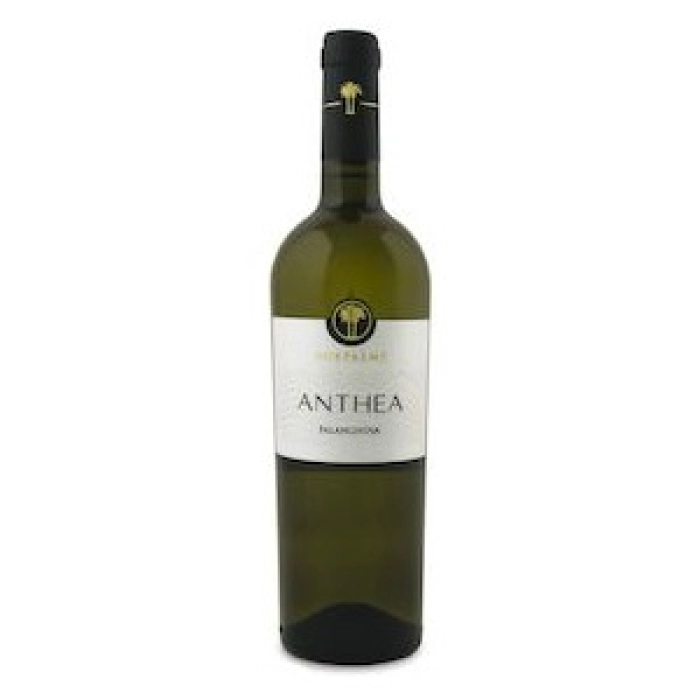 Salento IGP Falanghina Beneventana  