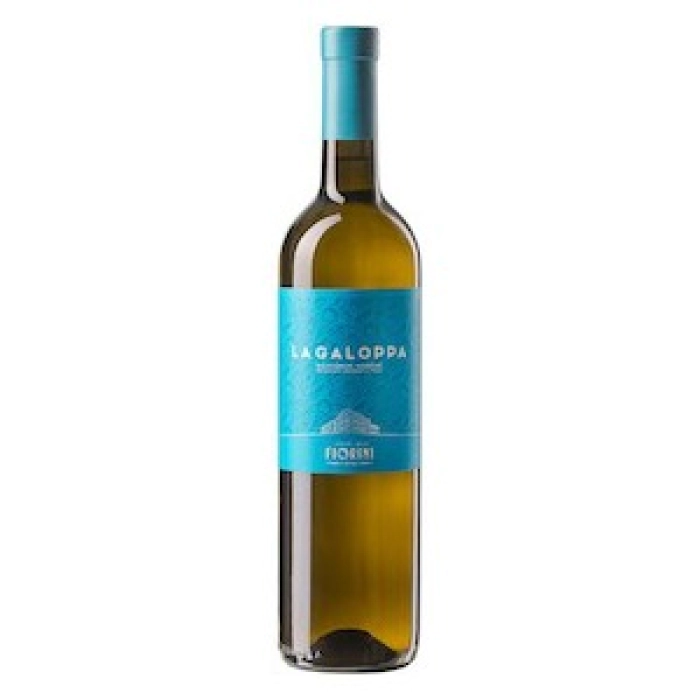 Marche IGP Sauvignon Blanc  