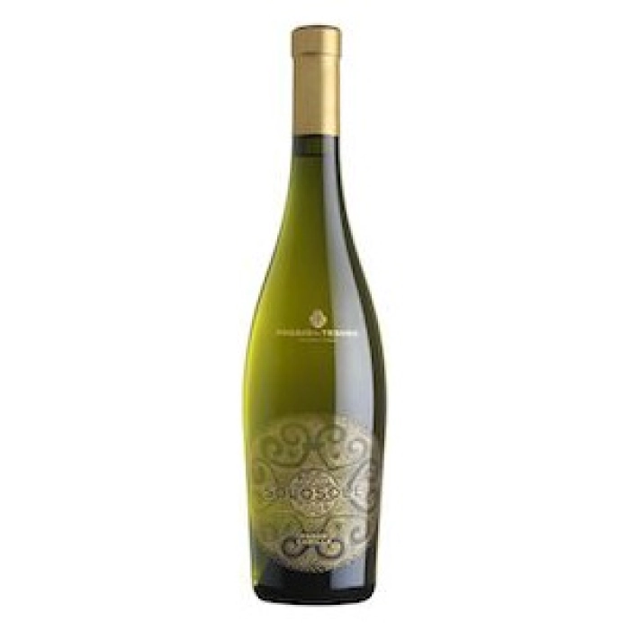 Bolgheri DOC  