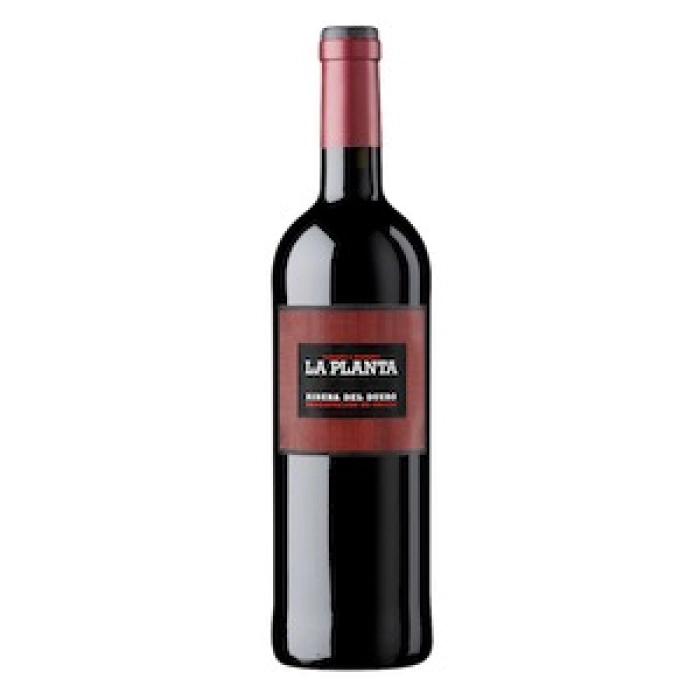 Ribera del Duero DO 