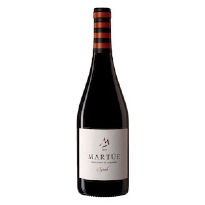 Campo de La Guardia VP Syrah 