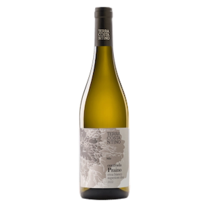 Etna DOC Superiore  Praino 