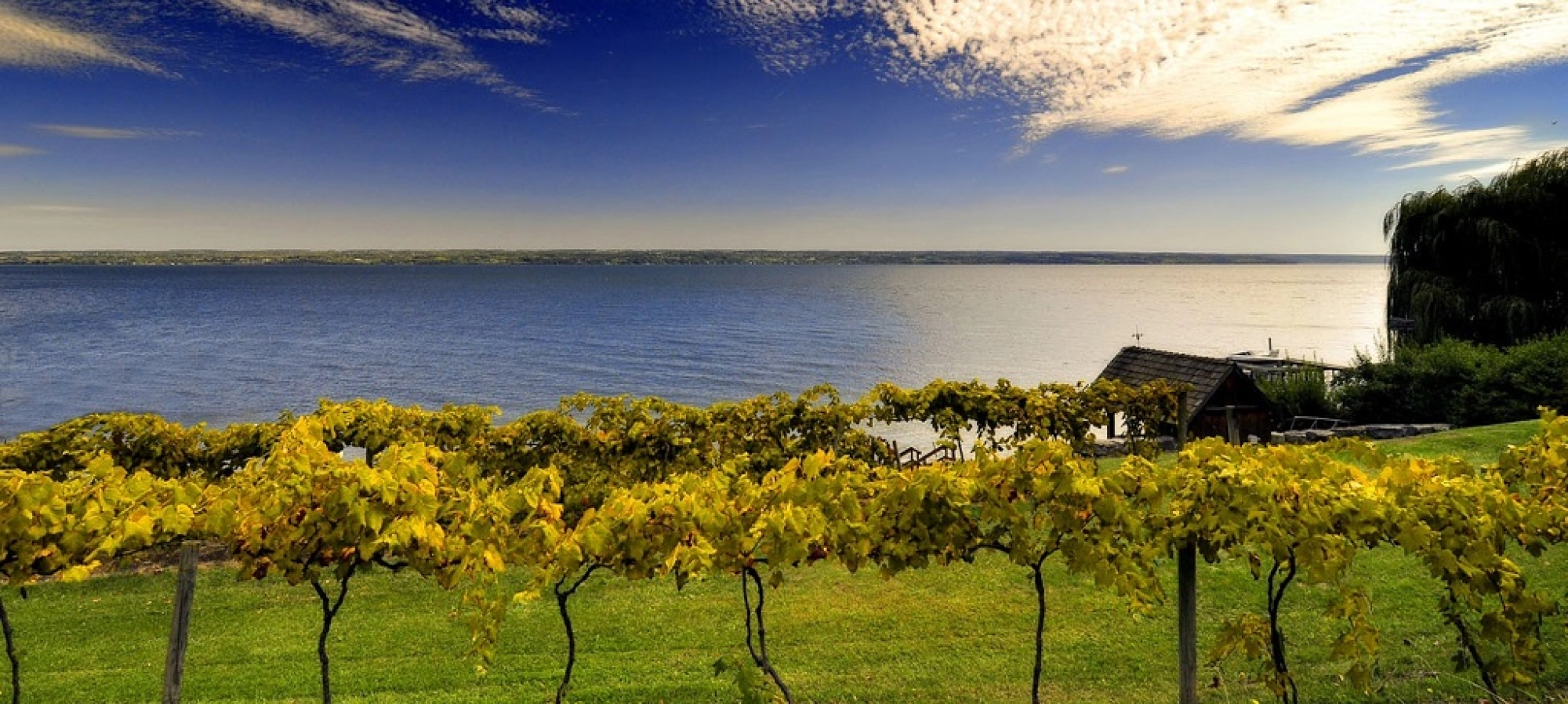 Finger Lakes Finger Lakes